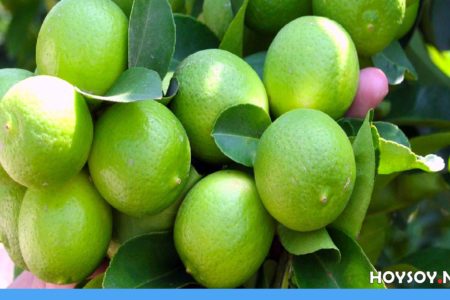 6 Beneficios del limón