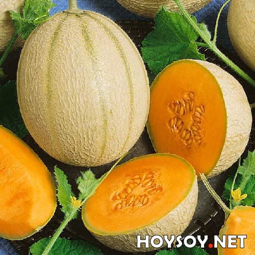 beneficios de comer melón