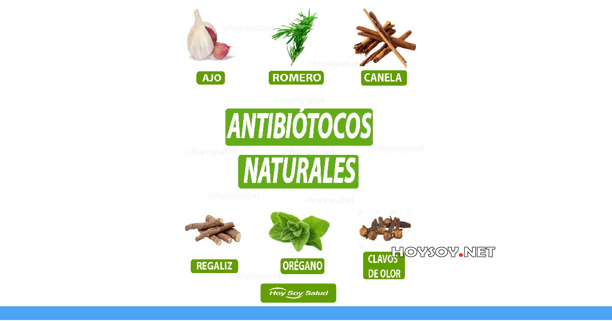 antibióticos naturales