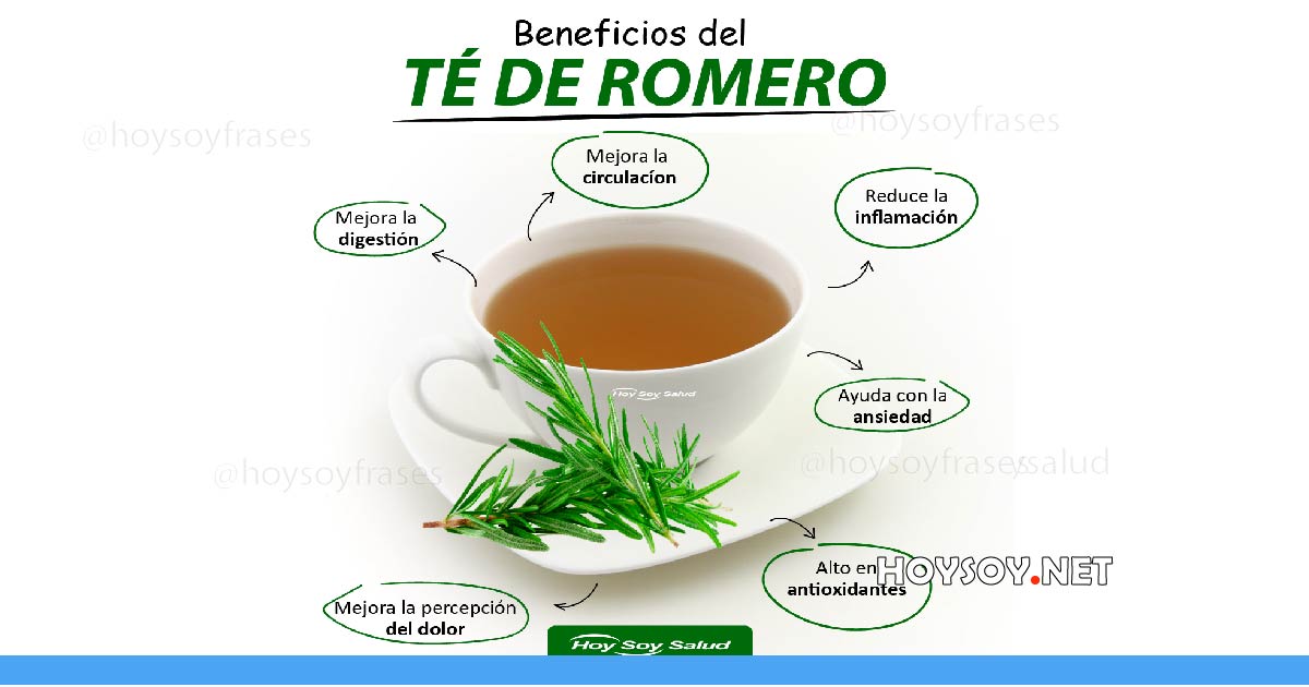 Beneficios del té de romero