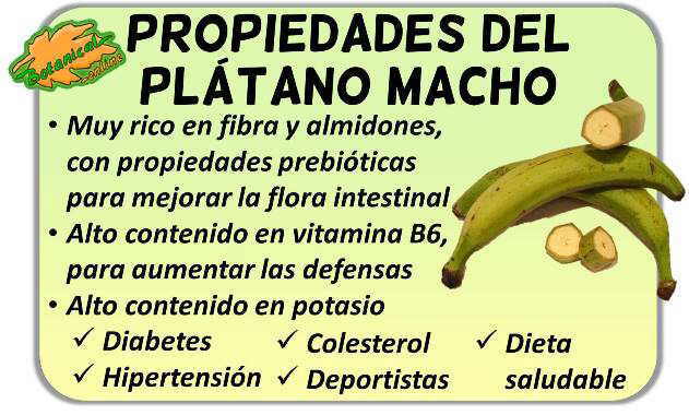 plátanos