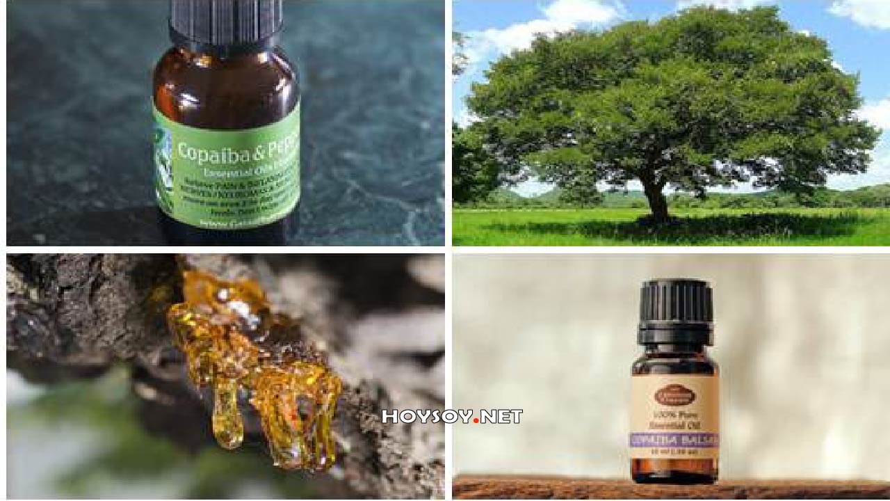 Beneficios del aceite de copaiba