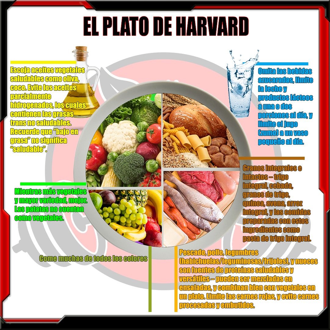 El Plato De Harvard Descubre Cómo Puede Mejorar Tu Alimentación Hoysoynet ️ 1627